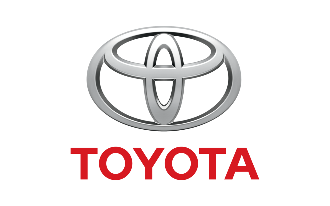 Our Partner