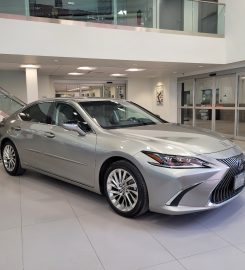 Ken Shaw Lexus